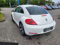 Volkswagen Beetle The 1.2 TSI Design+PDC+ Weiß - thumbnail 5