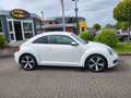 Volkswagen Beetle The 1.2 TSI Design+PDC+ Weiß - thumbnail 6