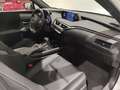 Lexus UX 250h Style 2WD Blanco - thumbnail 6