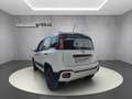 Fiat Panda Cross MY21 City Cross 4x4 0.9 TwinAir Blanco - thumbnail 8