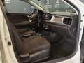 Kia Rio 1.2 mpi Evolution 84cv my18 Bianco - thumbnail 12