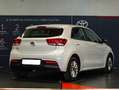 Kia Rio 1.2 mpi Evolution 84cv my18 Bianco - thumbnail 6