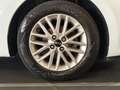 Kia Rio 1.2 mpi Evolution 84cv my18 Bianco - thumbnail 7