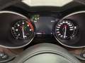 Alfa Romeo Stelvio Stelvio 2.2 Turbodiesel 190 CV AT8 Q4 Executive - thumbnail 15