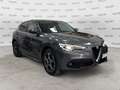 Alfa Romeo Stelvio Stelvio 2.2 Turbodiesel 190 CV AT8 Q4 Executive - thumbnail 1