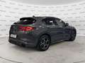 Alfa Romeo Stelvio Stelvio 2.2 Turbodiesel 190 CV AT8 Q4 Executive - thumbnail 5