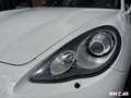 Porsche Panamera 3.0 V6 250ch Tiptronic Wit - thumbnail 6