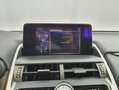 Lexus NX 300 300h Premium 2WD Blanco - thumbnail 17