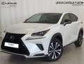 Lexus NX 300 300h Premium 2WD Blanco - thumbnail 1