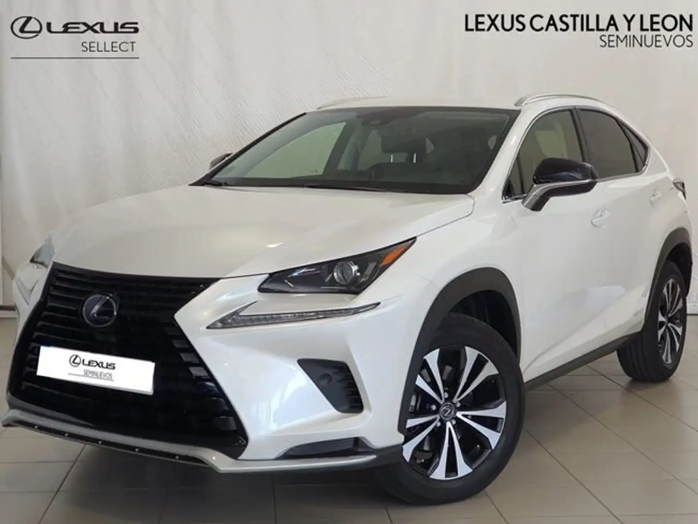 Lexus NX 300 300h Premium 2WD Blanco - 1