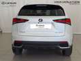 Lexus NX 300 300h Premium 2WD Blanco - thumbnail 3