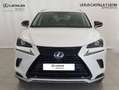 Lexus NX 300 300h Premium 2WD Blanco - thumbnail 2