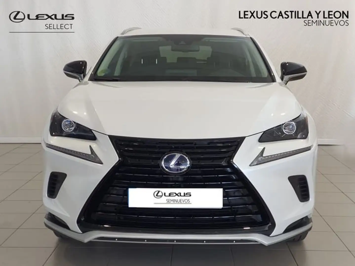 Lexus NX 300 300h Premium 2WD Blanco - 2