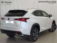 Lexus NX 300 300h Premium 2WD Blanco - thumbnail 4