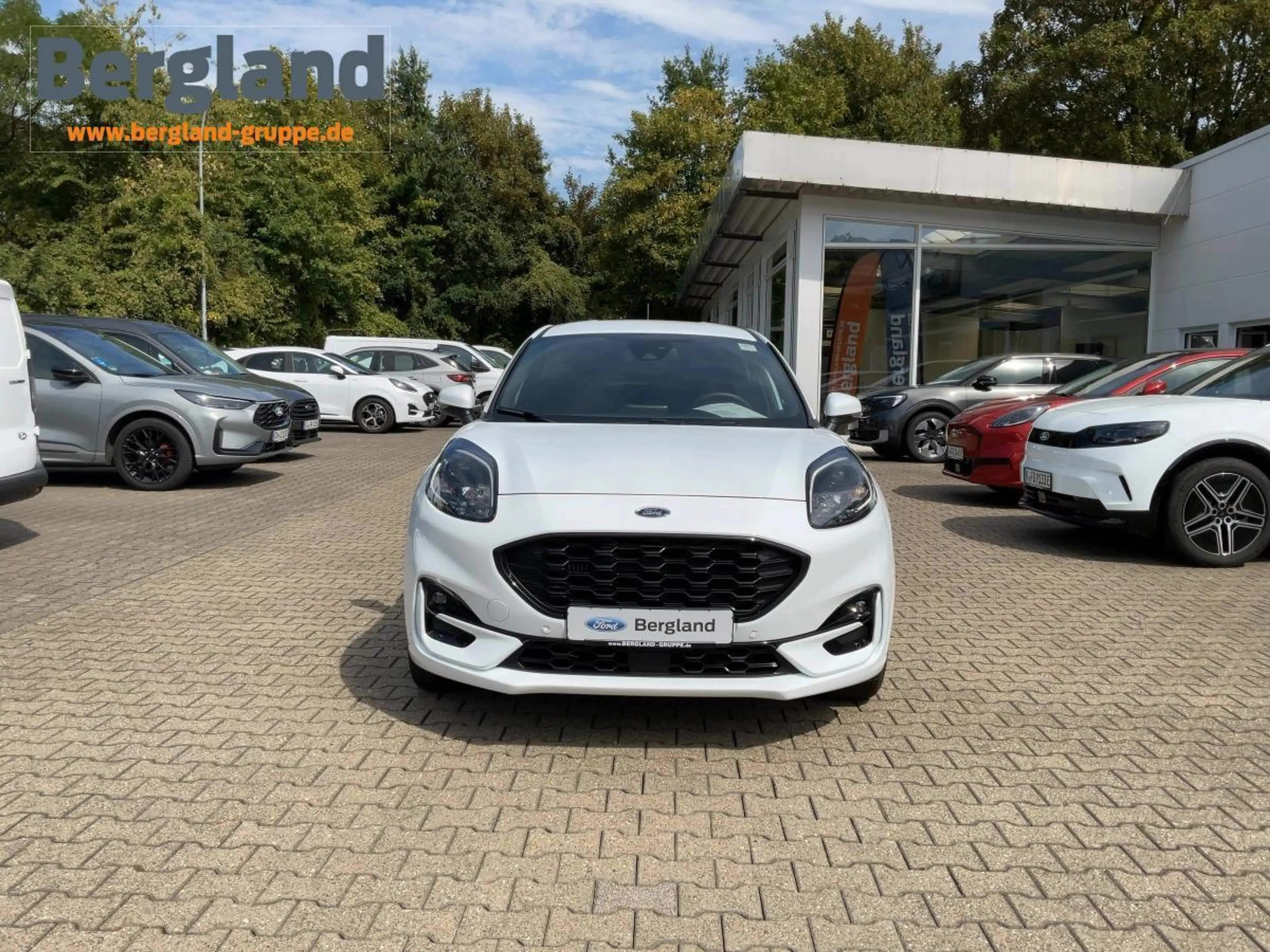 Ford Puma ST-Linie — photo 6