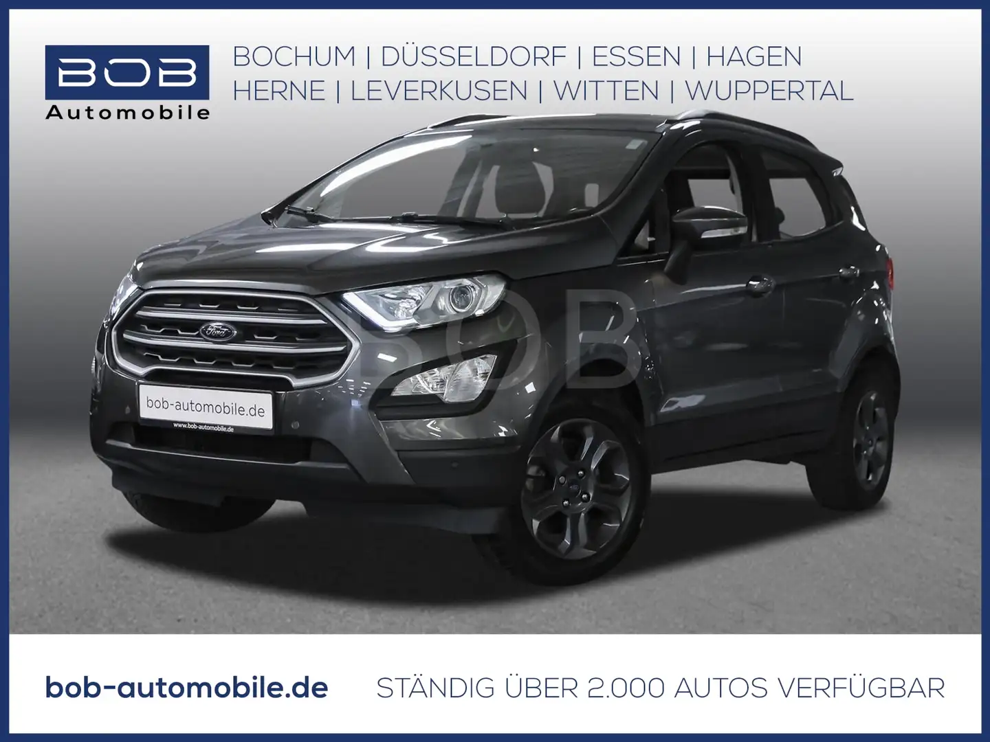 Ford EcoSport 1.0 EcoBoost Cool&Connect  NAVI SHZ PDC Gris - 1