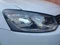Volkswagen Polo 1.2 TSI 90CV COMFORTLINE Blanc - thumbnail 3