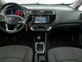 Kia Rio 1.2 DIESEL 75CV Mauve - thumbnail 13