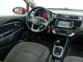 Kia Rio 1.2 DIESEL 75CV Mauve - thumbnail 15