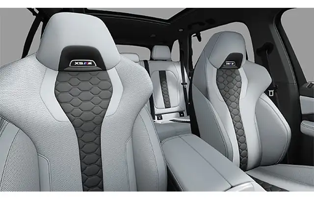 BMW X5 view 7