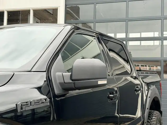 Ford F 150 view 13