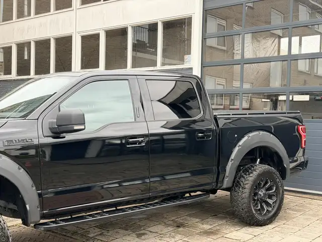 Ford F 150 view 15