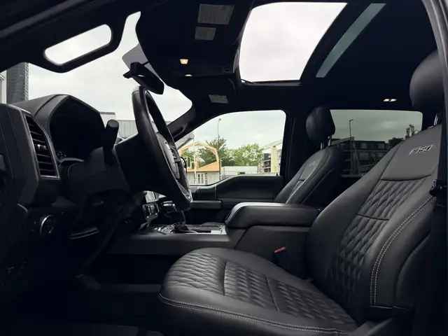Ford F 150 view 12