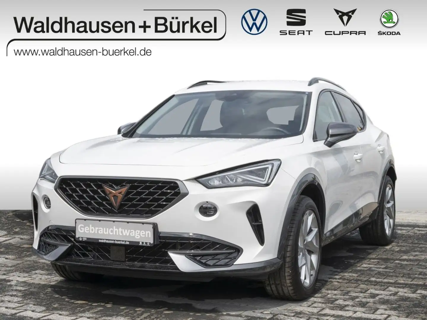 CUPRA Formentor 1,5 TSI DSG+Navi+LED Basis Klima Navi Wit - 1