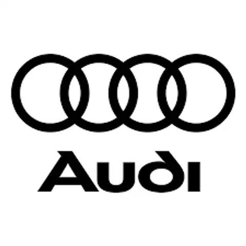 Audi Q3 view 21