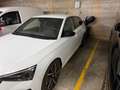 Skoda Scala Scala 1.5 TSI First Edition 110kW DSG First Edition Blanco - thumbnail 1