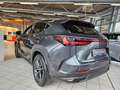 Lexus NX 350h Executive Line 360°, LED, Carplay Grijs - thumbnail 11