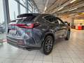 Lexus NX 350h Executive Line 360°, LED, Carplay Grijs - thumbnail 7