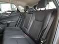Lexus NX 350h Executive Line 360°, LED, Carplay Grijs - thumbnail 13