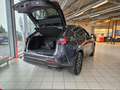Lexus NX 350h Executive Line 360°, LED, Carplay Grijs - thumbnail 10