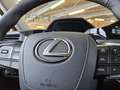 Lexus NX 350h Executive Line 360°, LED, Carplay Grijs - thumbnail 21