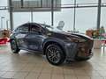 Lexus NX 350h Executive Line 360°, LED, Carplay Grijs - thumbnail 6