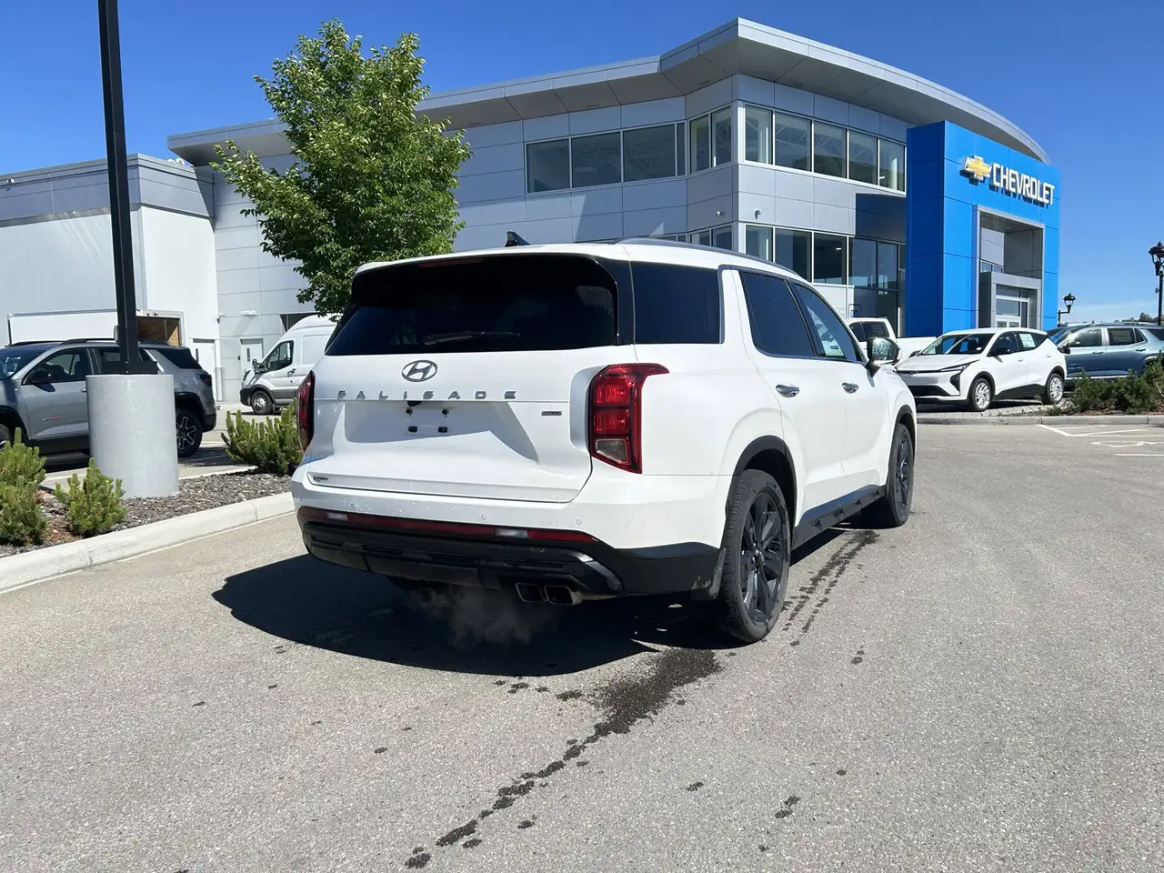 Hyundai PALISADE снимка Hyundai PALISADE