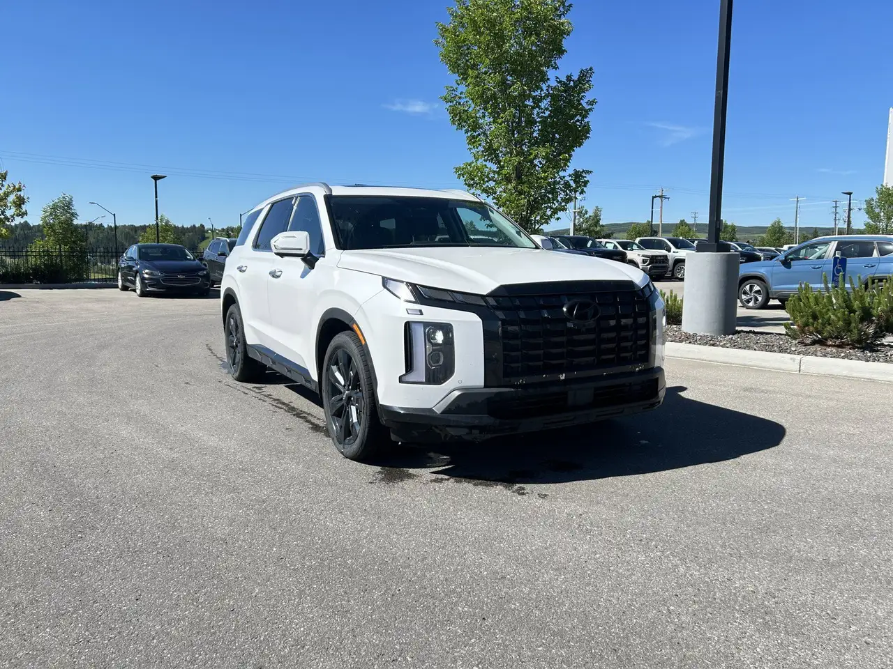 Hyundai PALISADE снимка Hyundai PALISADE