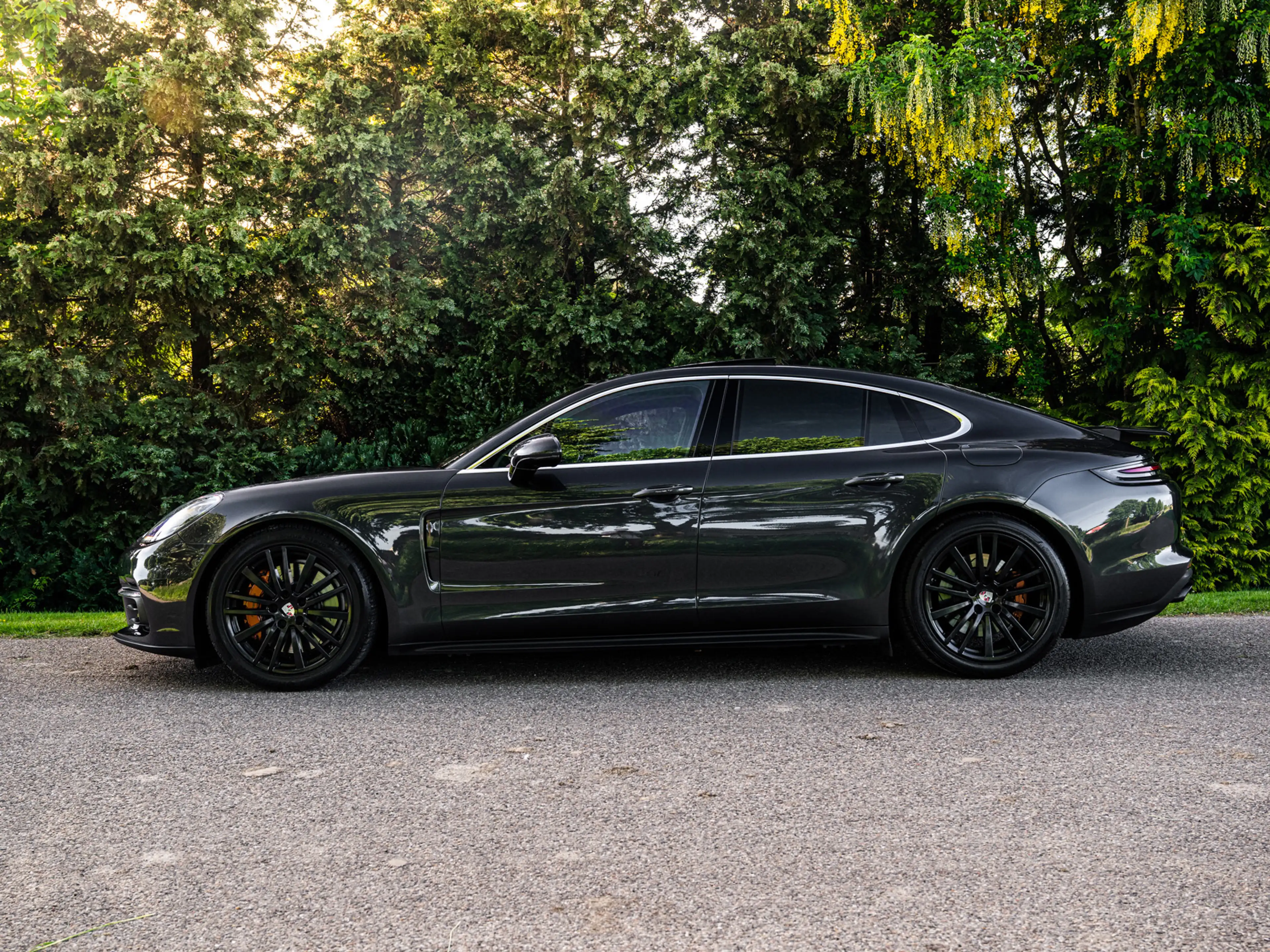 Porsche Panamera 2.9 4 E-Hybrid | Org. NL | 360 cam | Pano — photo 4