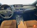 Lexus UX 250h 2.0 Business Navigation Vert - thumbnail 11