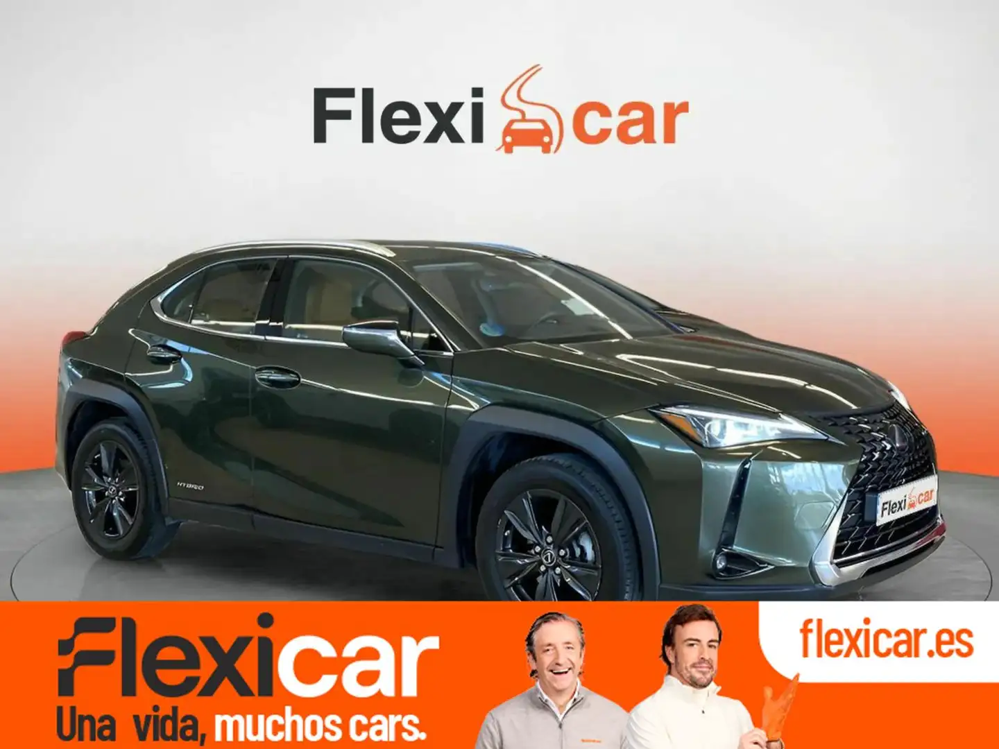 Lexus UX 250h 2.0 Business Navigation Verde - 1