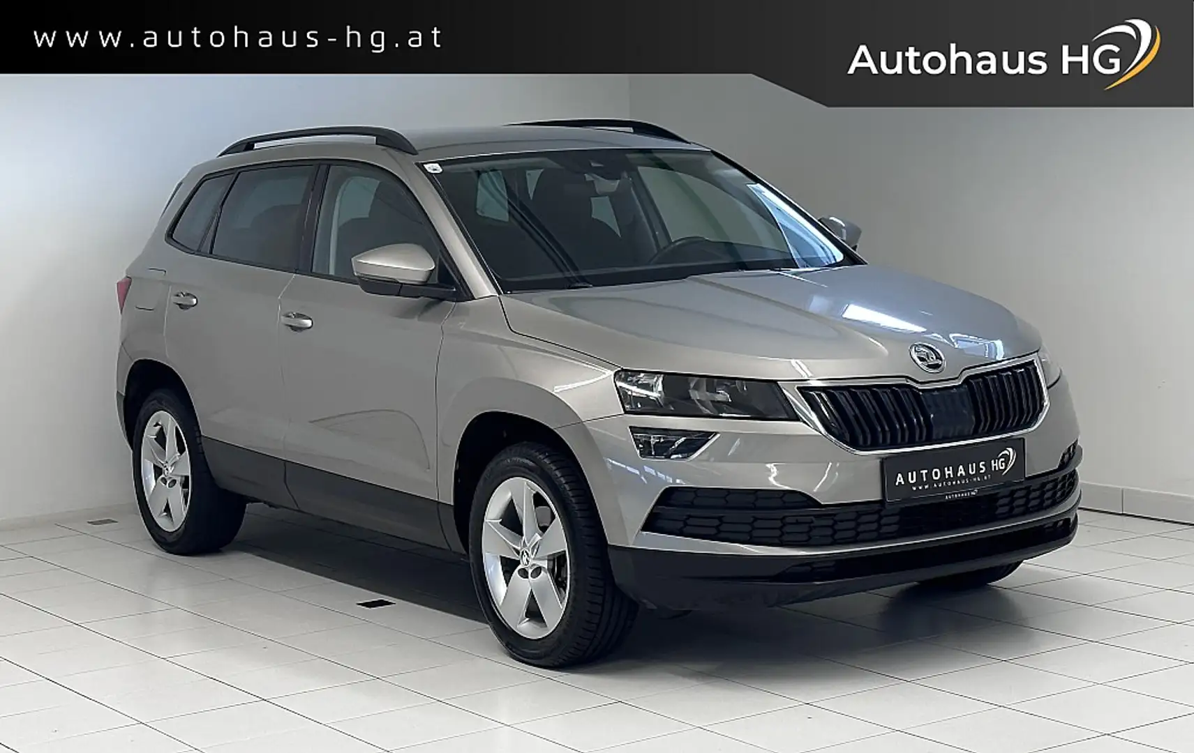 Skoda Karoq 1,6 TDI Ambition Limited*ACC*R-KAMERA*NAVI* Grau - 1