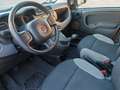 Fiat Panda Panda III 2021 1.0 firefly hybrid Orange - thumbnail 9