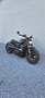 Harley-Davidson Sportster S Cobra exhaust Zwart - thumbnail 2