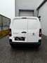 Peugeot Partner Premium BlueHDi 100 L1/MwSt. ausweisbar Weiß - thumbnail 5