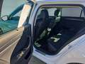 Skoda Superb Combi 2.0 TSI DSG 4x4 Style  AHK ACC Kam360 Navi 4 Bianco - thumbnail 12