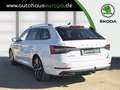 Skoda Superb Combi 2.0 TSI DSG 4x4 Style  AHK ACC Kam360 Navi 4 Bianco - thumbnail 2