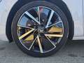 Skoda Superb Combi 2.0 TSI DSG 4x4 Style  AHK ACC Kam360 Navi 4 Bianco - thumbnail 18