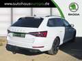 Skoda Superb Combi 2.0 TSI DSG 4x4 Style  AHK ACC Kam360 Navi 4 Bianco - thumbnail 5