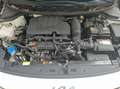 Kia Rio 1.0 T-GDI 120 DCT-7 GT Line Premium - Automatique  Blanc - thumbnail 15